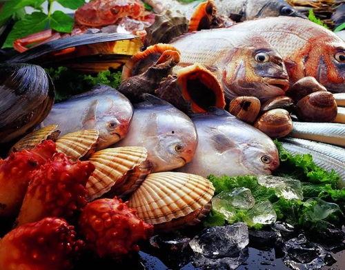 城阳海鲜爆料事件视频最新,视频揭露惊人内幕，真相令人震惊